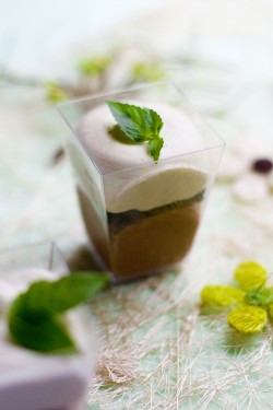 Crème glacée à la menthe et mousse chocolat