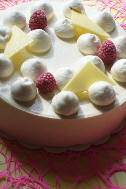 Gâteau Vacherin Framboise - Aux Délices de Christophe